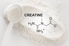 Creatine (Coming Soon)